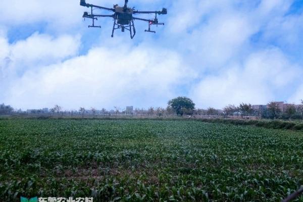 西瓜苗用什么除草剂最好 地膜覆盖西瓜播种前用丰山牌二甲戊灵做除草剂行吗？