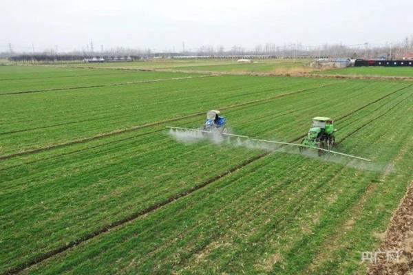 高锰酸钾可以和农药杀菌剂混用吗 高锰酸钾能和微生物菌剂一起用吗？