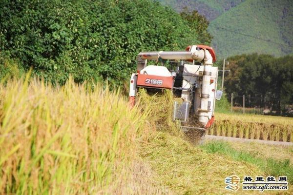 石竹的种植方法和注意事项 种植木耳需要什么材料