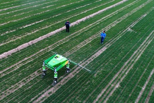 种植南瓜怎样施肥 南瓜施肥时间及方法