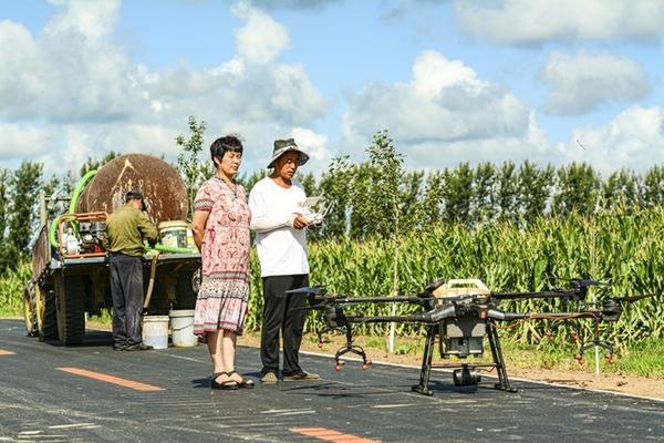 石榴树苗怎么培育 石榴树种植技术与管理