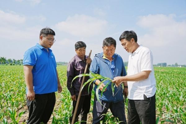 花菜地香附子打什么除草剂最好 精喹禾灵能除香附子吗？