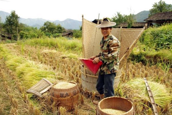 除草剂草甘膦能彻底杀死香附子吗 自制去根除草剂配方？