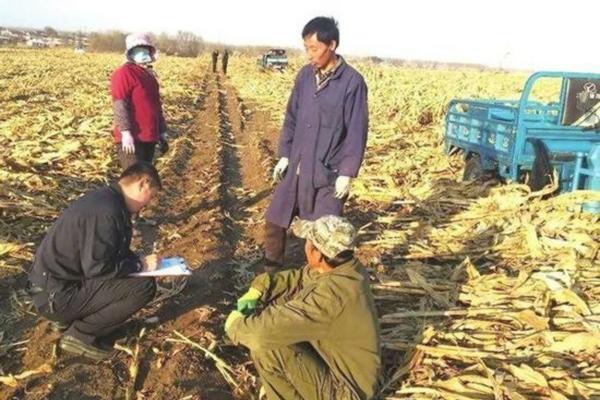 最好戊唑醇品牌和生产厂家 戊唑醇哪个厂生产的好