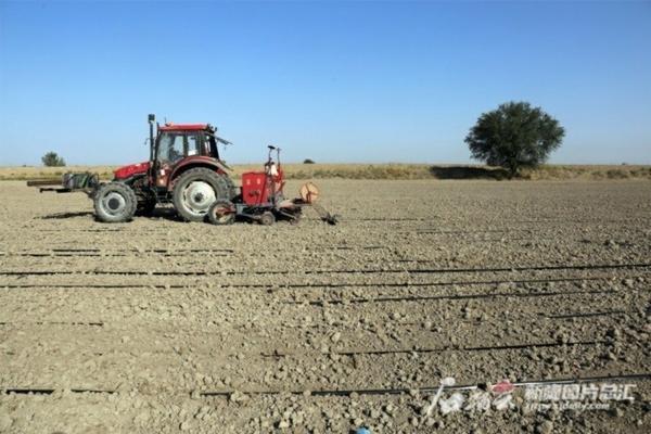 吡虫啉防治哪些害虫 联苯吡虫啉主要防治