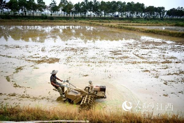 70甲基硫菌灵灌根兑多少水 农用配药的正确方法？