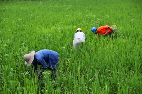 会变的彩色花什么原理 花变色的科学原理是什么？