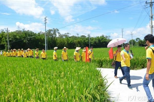 红薯地专用除草剂有哪些 红薯地里能用拉素除草剂吗？