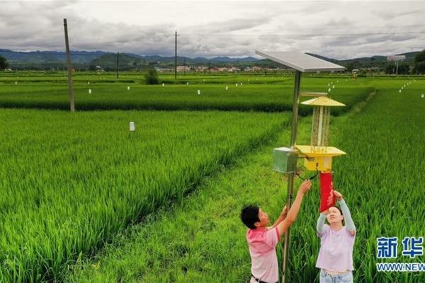 除草剂属什么经济科目 艾锄除草剂能除什么草？