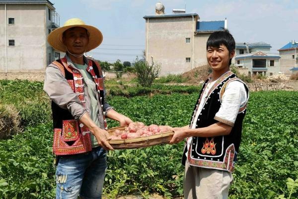 饲料搅拌机型号大全价格及图片 养牛用全日粮搅拌机