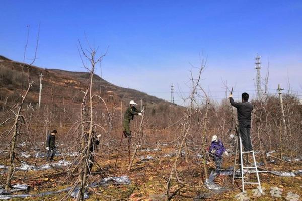 敌草胺除草剂持效期多长时间为好 瓜类苗期除草用什么除草剂？