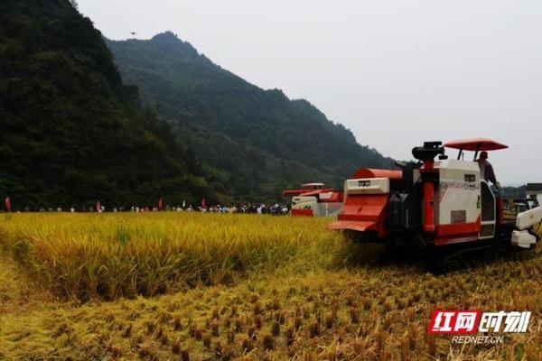 小麦除草剂对杨树有什么危害 什么药物对树木危害最大？