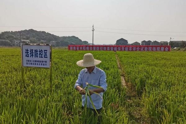 绿叶一喷净使用说明书 清理油污最有效的方法？