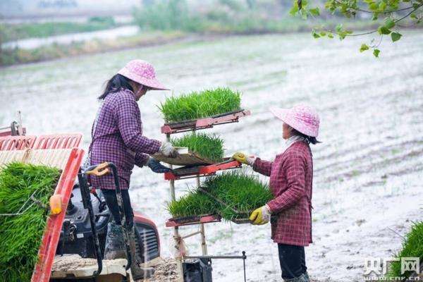 测土配方施肥是什么意思 缓释肥是复合肥吗