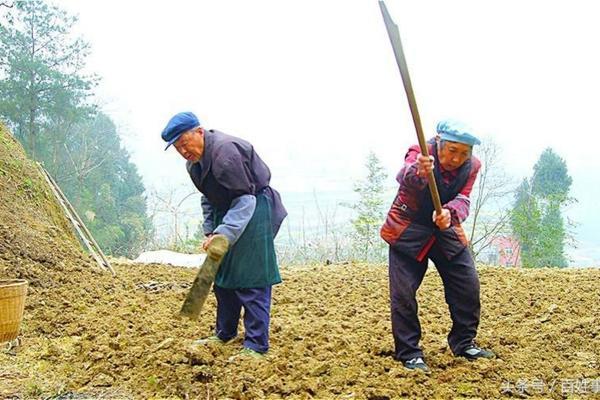 黄氏响声丸的功效：解读传统中药的神奇疗效