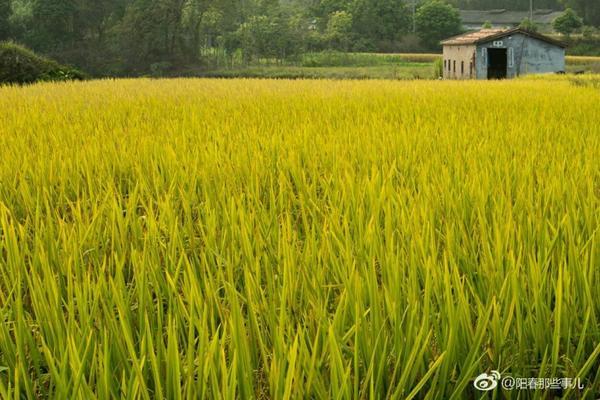 草甘膦除草剂有味道吗 草甘膦能用在菜地里吗