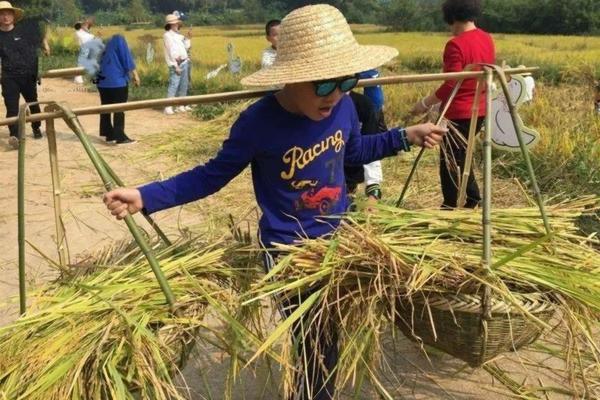 先正达种衣剂产品目录表 登记小麦和花生的种衣剂