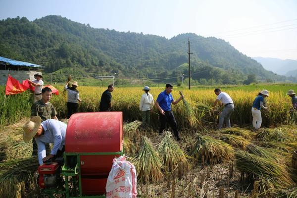 青菜白锈病用什么药最好 锈病是真菌还是细菌呢