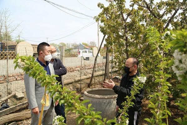 水稻田中除草的有效方法与策略