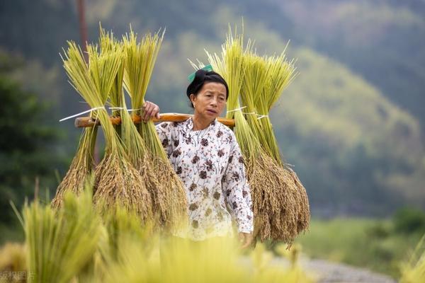 多菌灵与生根粉混在一起可以用吗 黄豆苗能使用多菌灵