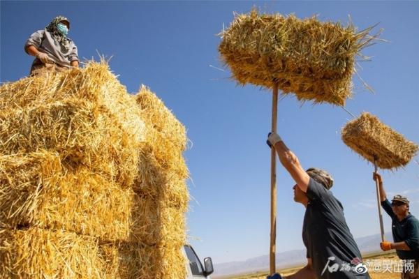 白地瓜上用哪种除草剂 红薯地封用什么除草剂最好？