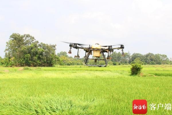 蚜虫吡虫啉浓度的研究与应用