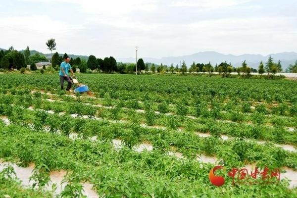 先正达苯甲吡唑酯功效和作用 苯醚甲环唑可以和代森锰锌混合吗