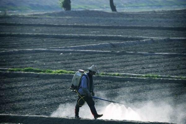 韭菜地用什么除草剂最安全 葡萄地专用封闭除草剂