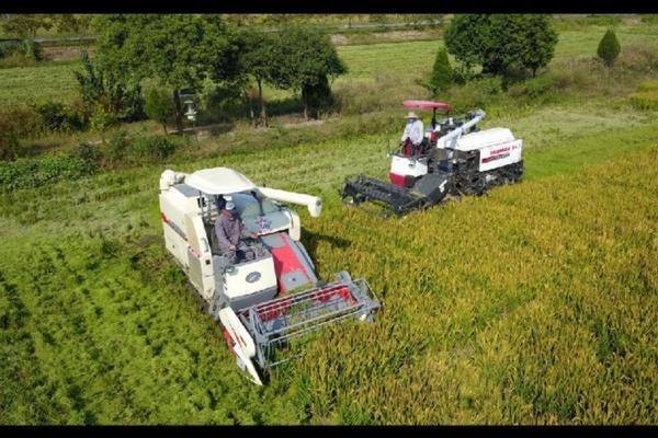 食品中农药残留现状及检测方法 农药残留标准的五个不同级别？