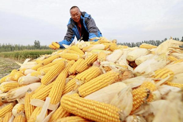 多菌灵一小勺用多少水 500毫升水兑多少多菌灵