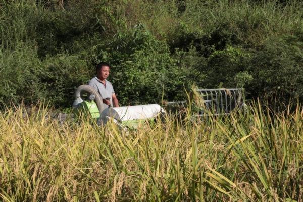 土壤消毒杀菌用什么药最好 浇多菌灵的土几天才没毒了