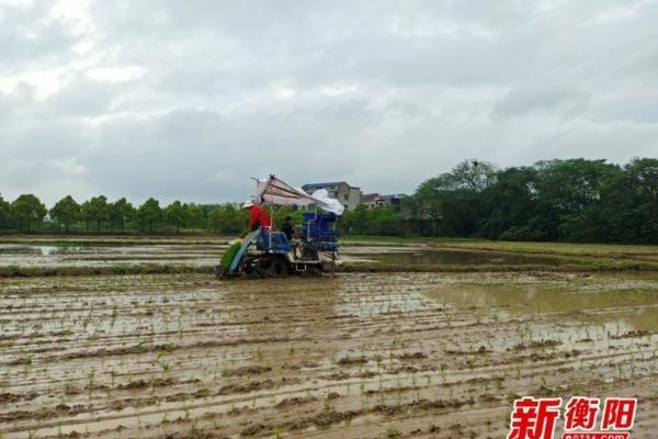 西瓜产地——中国的主要西瓜种植省份