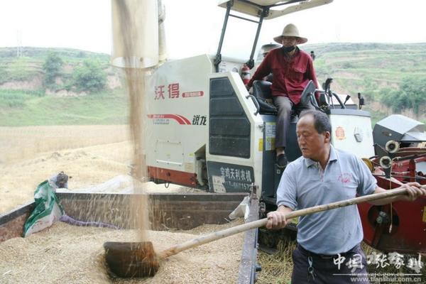 竹子有多少种品种图片 观赏竹类植物大全