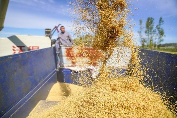 噻呋嘧菌酯防治什么病 碧生噻唑锌能和叶面肥混用吗