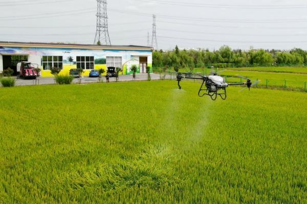 红薯地封闭除草能用乙草胺吗 红薯除草剂禾阔双除