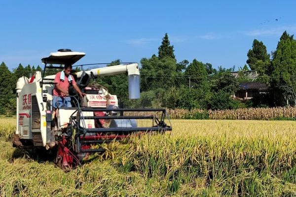 多肉植物用什么土好 多肉施肥用颗粒肥还是营养液？