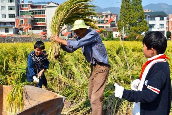 生根粉与多菌灵：不同的植物护理产品及其安全性解析