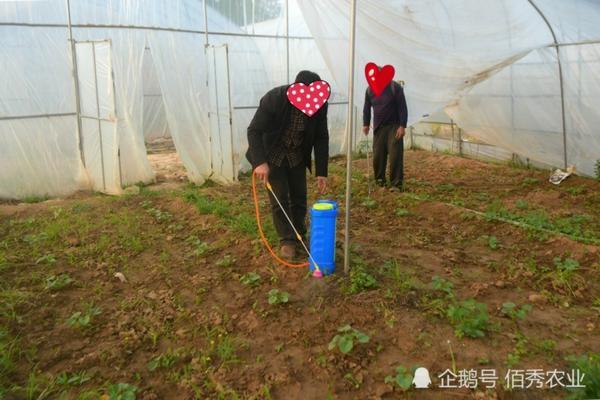 吡唑醚菌酯使用方法和用量是多少 大豆田怎么用吡唑醚菌酯