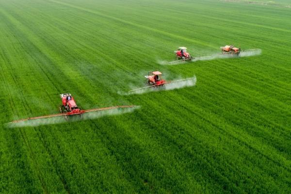 关于花生田苗前封闭除草剂的最佳喷施时间