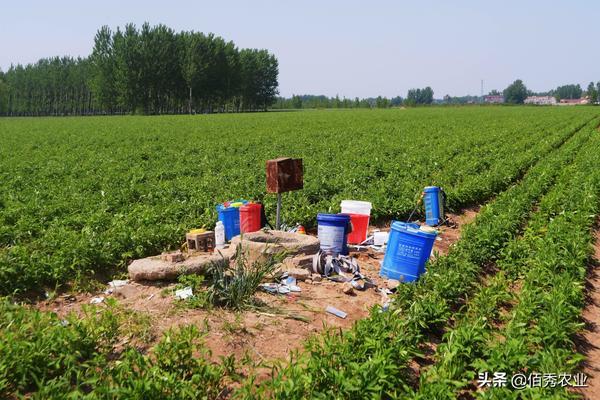 水稻除草剂采购合同 敌稗在水稻抽穗期可以用吗？