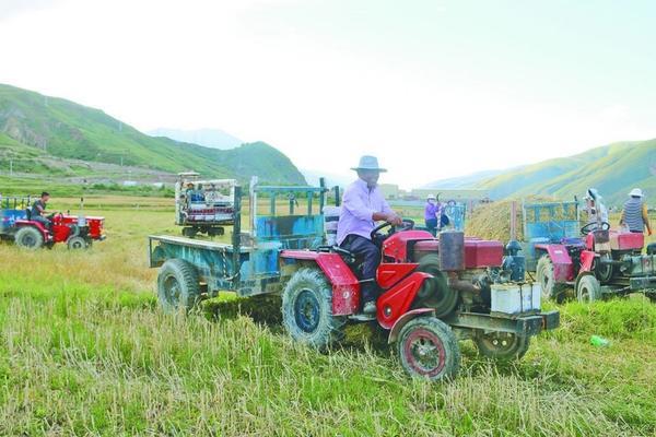 茶叶基地打除草剂 硝磺莠去津对茶叶有啥影响？