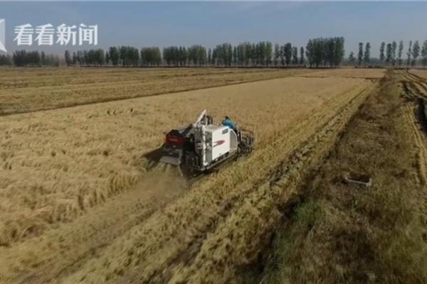 苗后除草剂下过雨后能不能打 苗后除草剂用后一小时下雨好吗？