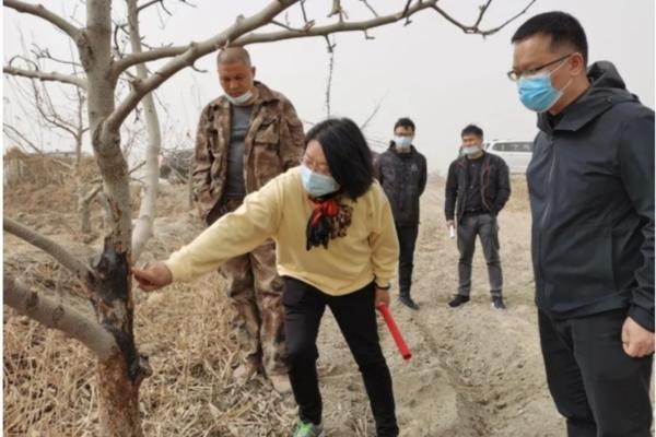 吡虫啉有腐蚀性吗 吡虫啉不容易溶于水怎么办