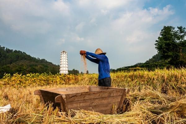 硫酸钾肥料适合种什么 硫酸钾型复合肥价格