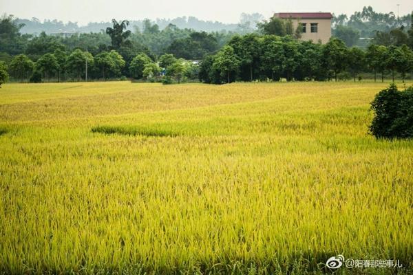 芸苔素和磷酸二氢钾混用有什么效果 磷酸二氢钾的作用及使用方法