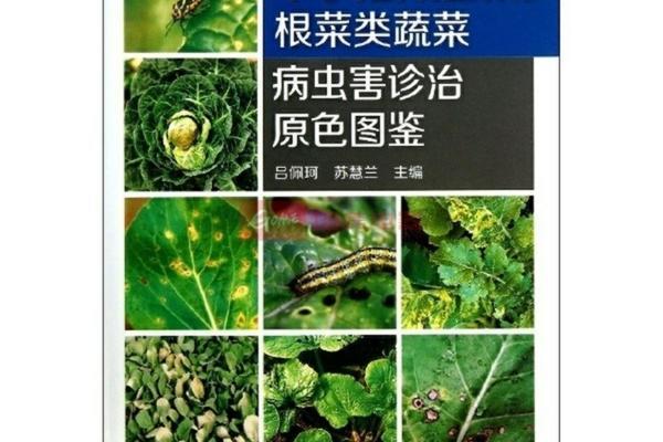 多菌灵泡多肉根泡多长时间 多菌灵对多肉的使用方法