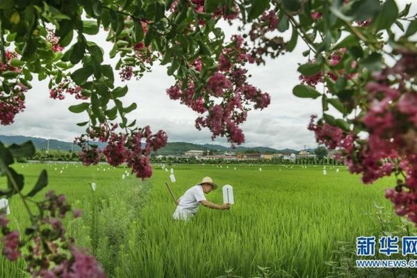 苹果一喷红最快几天红 苹果上喷了消毒液还能吃么？