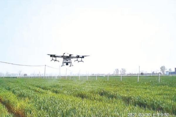 玉米打除草剂需要去除地膜吗 地膜上面打除草剂的是什么药