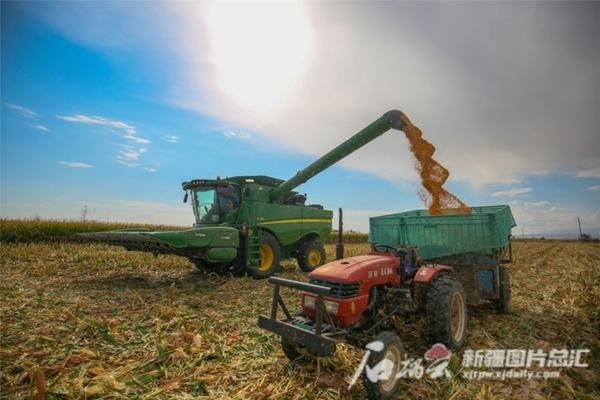 食用菌种类名称及图片 常见的食用菌有哪些