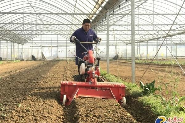 白菜霜霉病的症状及防治方法 流感的症状及防治方法是什么